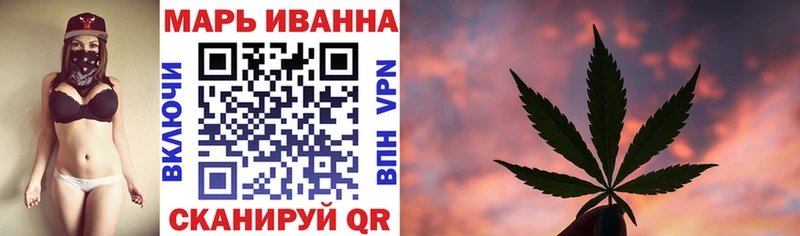 Конопля гибрид  Отрадная 